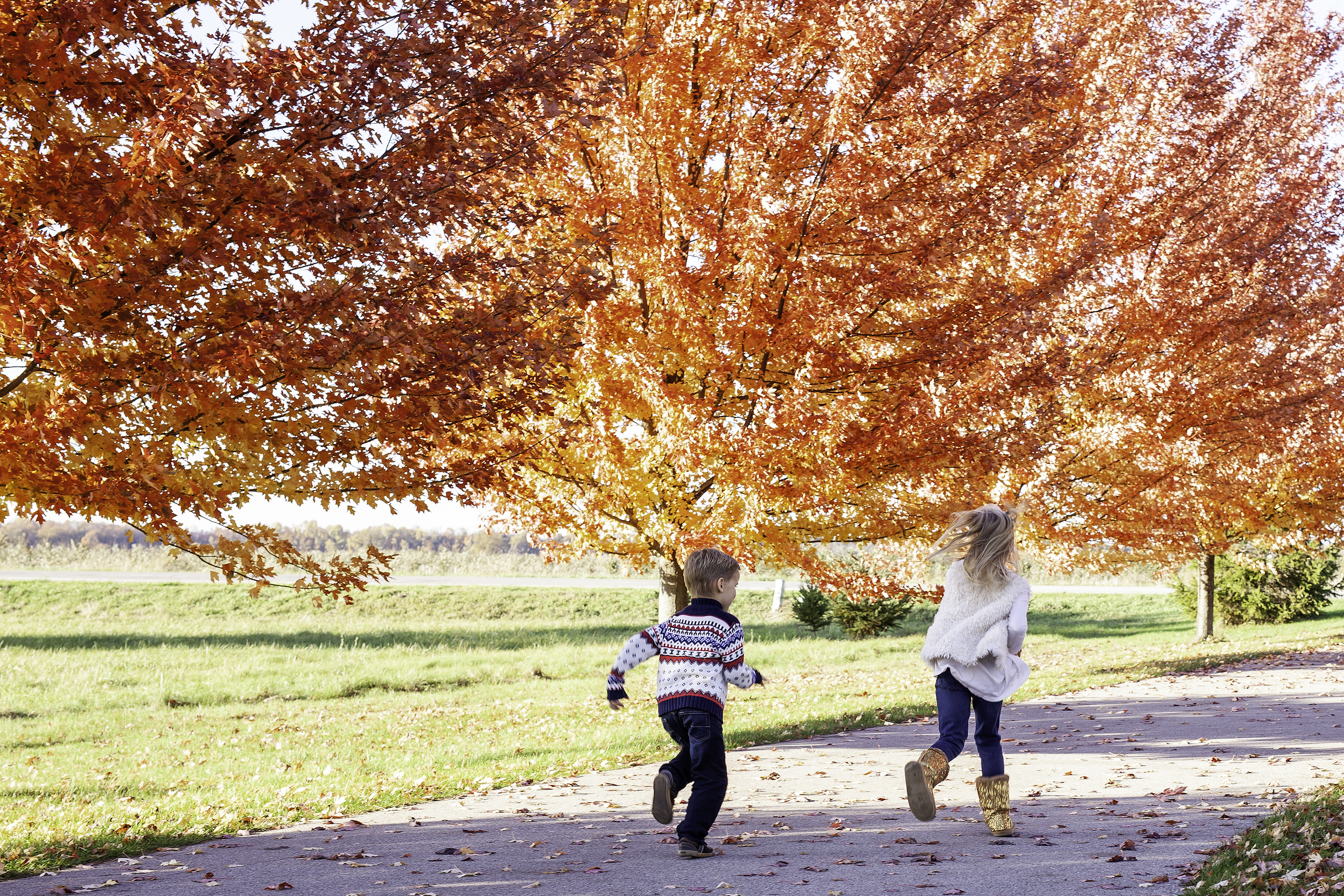 Kids running away down a path with bright red trees